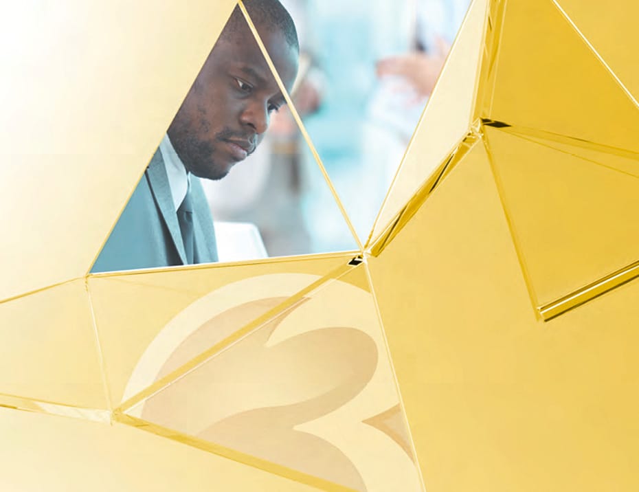 Accredited Pegasus Partner