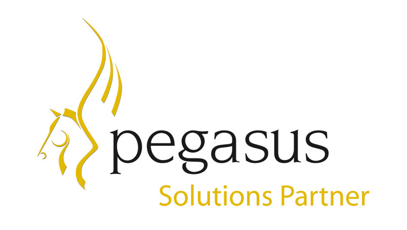 Pegasus logo IT services examples